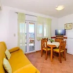 Palm Tree
