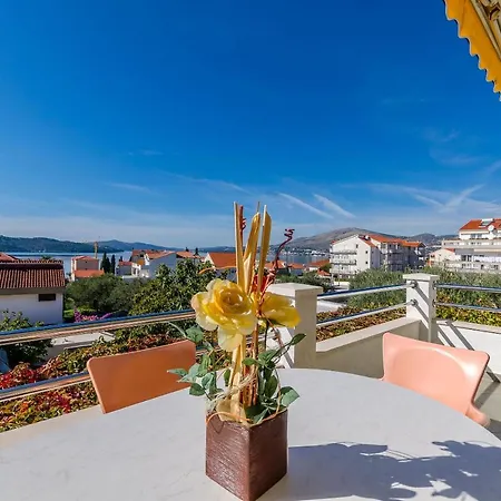 Palm Tree Apartman *