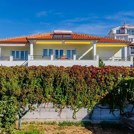 Apartman Palm Tree *