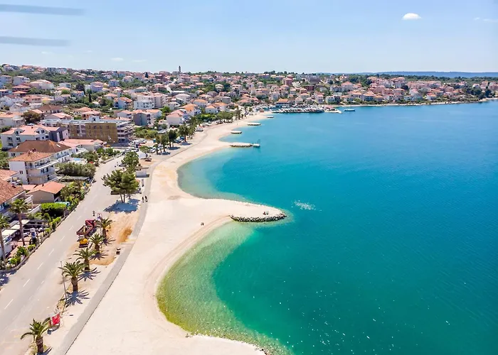 Apartment Palm Tree *